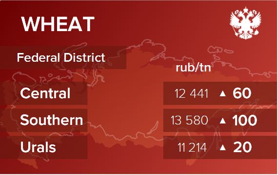 Обзор цен EXW по регионам РФ за неделю с 19 по 23 августа 2024