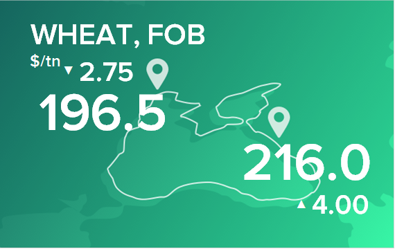 Пшеница. Цены в портах на 16 сентября 2024