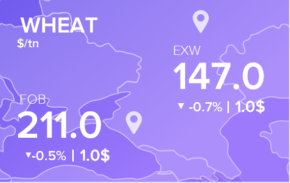 Цены FOB и EXW на 18 сентября 2024. Пшеница. Кукуруза