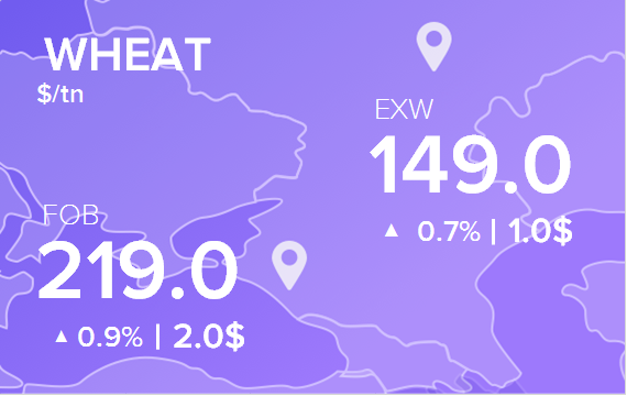 Цены FOB и EXW на 24 сентября 2024. Пшеница. Кукуруза
