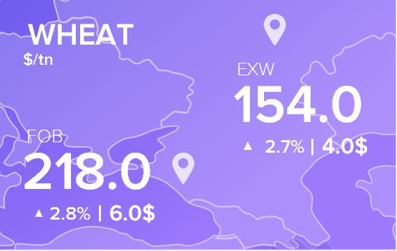 Цены FOB и EXW на 4 сентября 2024. Пшеница. Кукуруза