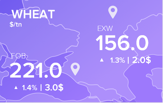 Цены FOB и EXW на 5 сентября 2024. Пшеница. Кукуруза