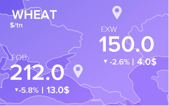 Цены FOB и EXW на 2 сентября 2024. Пшеница. Кукуруза