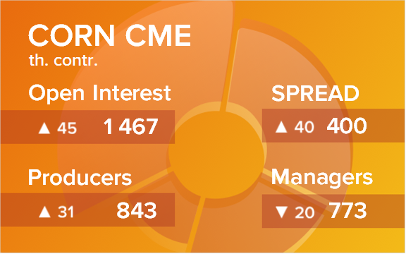 Кукуруза. Открытый интерес на 28 сентября 2024
