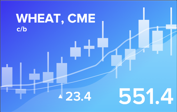 Price forecast from 2 to 6 September 2024