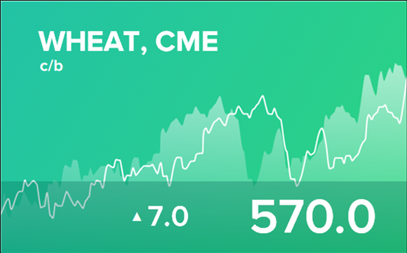 Прогноз биржевых цен на 10 сентября 2024