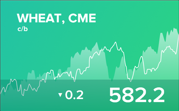 Прогноз биржевых цен на 17 октября 2024