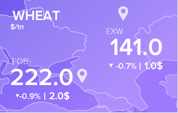 Цены FOB и EXW на 11 октября 2024. Пшеница. Кукуруза