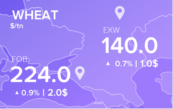 Цены FOB и EXW на 23 октября 2024. Пшеница. Кукуруза