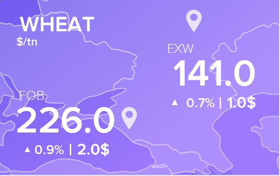 Цены FOB и EXW на 24 октября 2024. Пшеница. Кукуруза