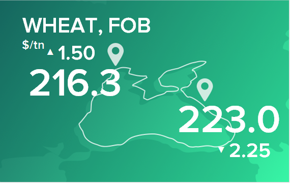 Пшеница. Цены в портах на 28 октября 2024