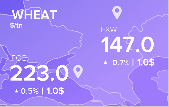 Цены FOB и EXW на 1 октября 2024. Пшеница. Кукуруза