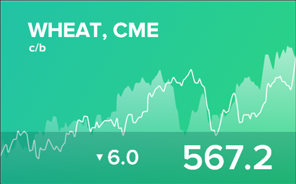 Прогноз биржевых цен на 31 октября 2024