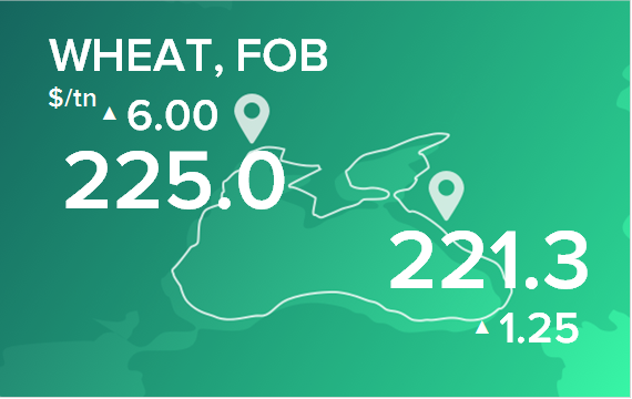 Пшеница. Цены в портах на 11 ноября 2024