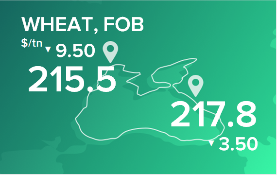 Пшеница. Цены в портах на 18 ноября 2024