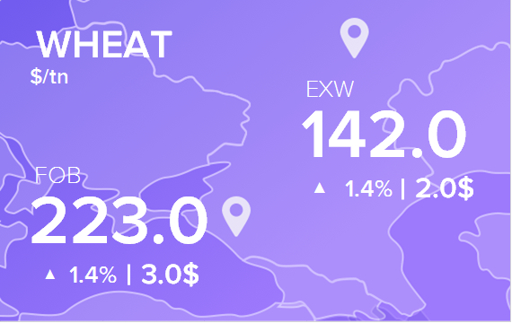 Цены FOB и EXW на 21 ноября 2024. Пшеница. Кукуруза