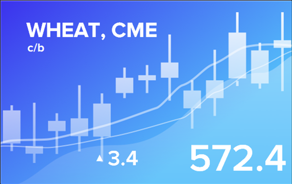Прогноз биржевых цен с 11 по 15 ноября 2024
