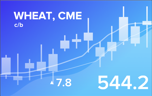 Price forecast from 25 to 29 November 2024