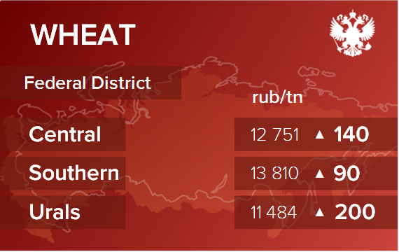 Обзор цен EXW по регионам РФ за неделю с 28 октября по 1 ноября 2024
