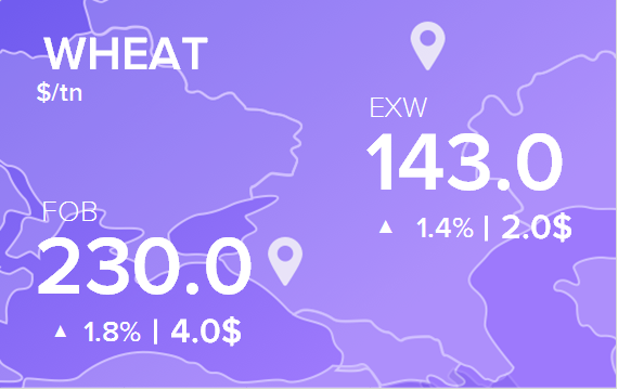 Цены FOB и EXW на 11 декабря 2024. Пшеница. Кукуруза