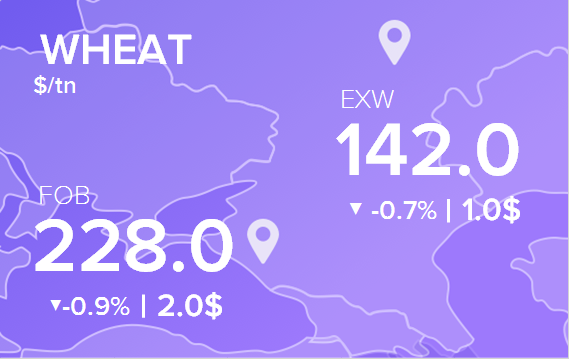 Цены FOB и EXW на 12 декабря 2024. Пшеница. Кукуруза