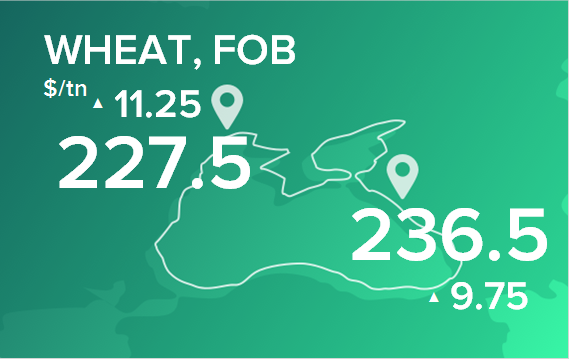 Пшеница. Цены в портах на 16 декабря 2024