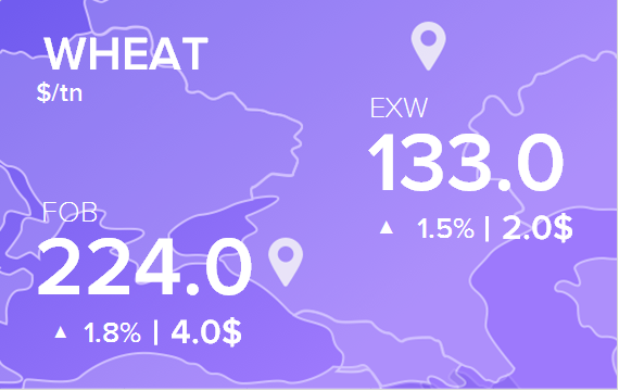 Цены FOB и EXW на 6 декабря 2024. Пшеница. Кукуруза