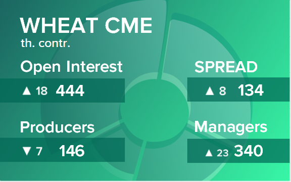 Пшеница. Открытый интерес на 21 декабря 2024