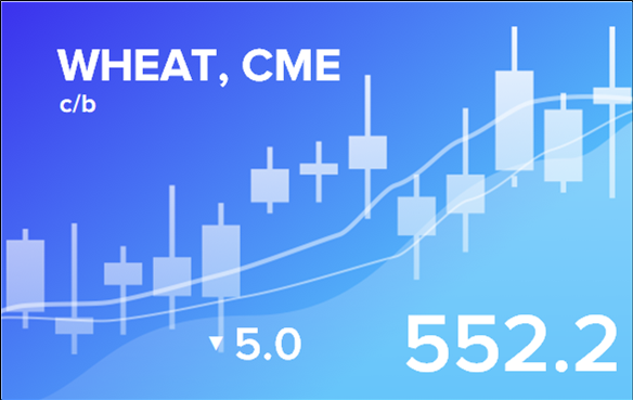 Price forecast from 16 to 20 December 2024