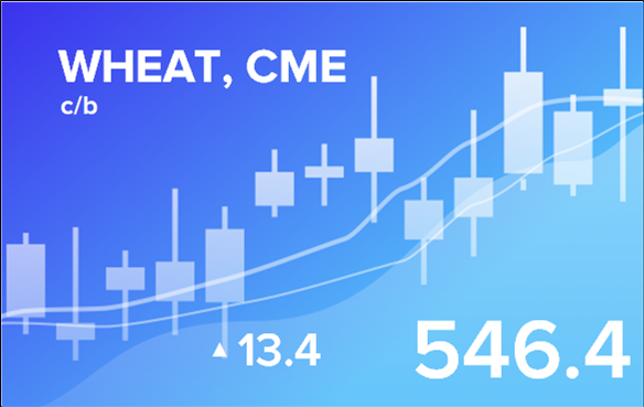 Forecast of stock exchange prices for the year 2025. New Year issue.