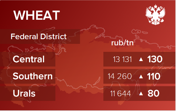 Обзор цен EXW по регионам РФ за неделю с 16 по 20 декабря 2024