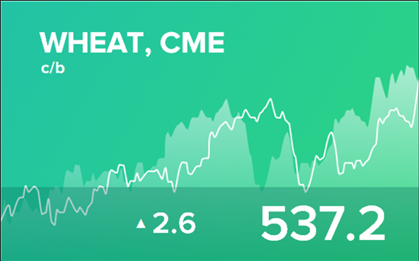 Прогноз биржевых цен на 23 декабря 2024