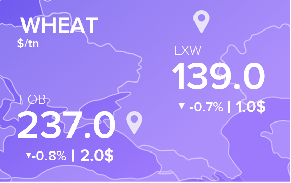 Цены FOB и EXW на 10 января 2025. Пшеница. Кукуруза