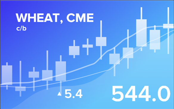Price forecast from 27 to 31 January 2025