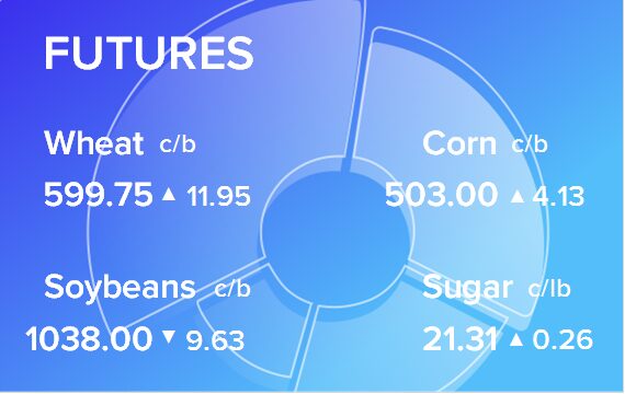 Обзор товарных рынков на 24 февраля 2025