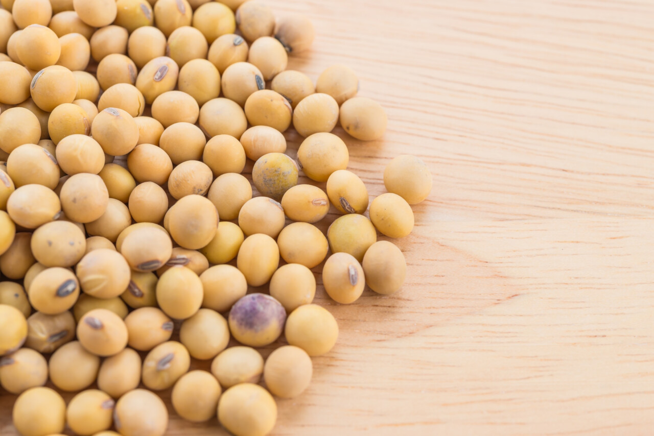 USDA. Масличные культуры: мировые рынки и торговля на 11 февраля 2025