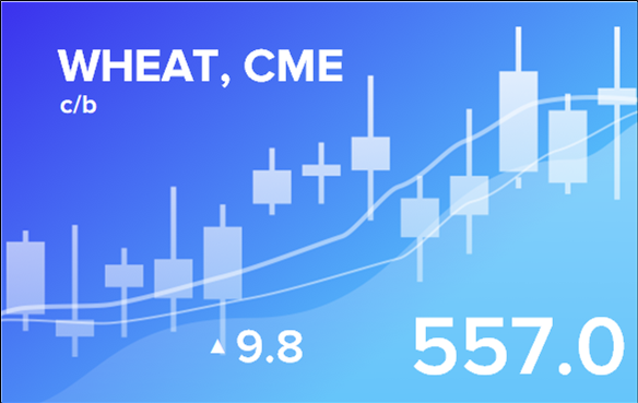 Price forecast from 17 to 21 March 2025