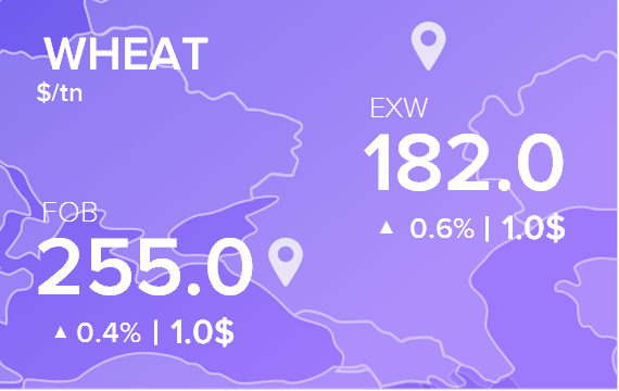 Цены FOB и EXW на 10 апреля 2025. Пшеница. Кукуруза