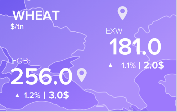 Цены FOB и EXW на 4 апреля 2025. Пшеница. Кукуруза