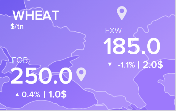 Цены FOB и EXW на 28 апреля 2025. Пшеница. Кукуруза
