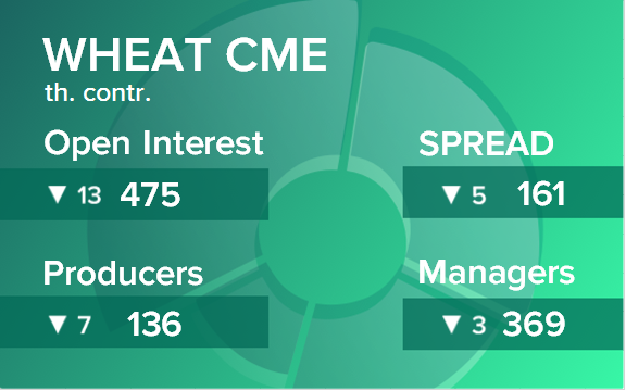 Пшеница. Открытый интерес на 12 апреля 2025