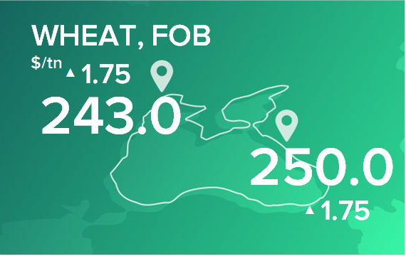 Пшеница. Цены в портах на 26 мая 2025