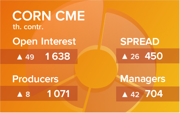 Кукуруза. Открытый интерес на 24 мая 2025