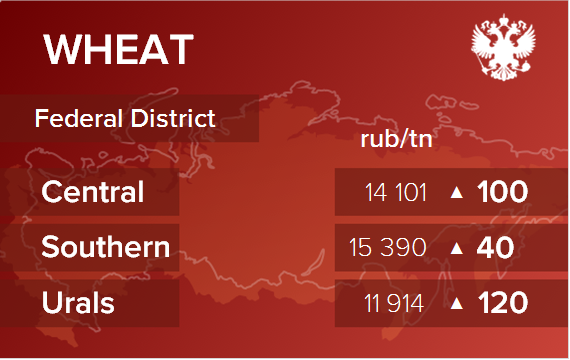 Обзор цен EXW по регионам РФ за неделю с 12 по 16 мая 2025
