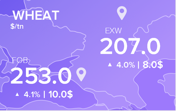 Цены FOB и EXW на 19 июня 2025. Пшеница. Кукуруза