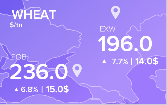 Цены FOB и EXW на 30 июня 2025. Пшеница. Кукуруза