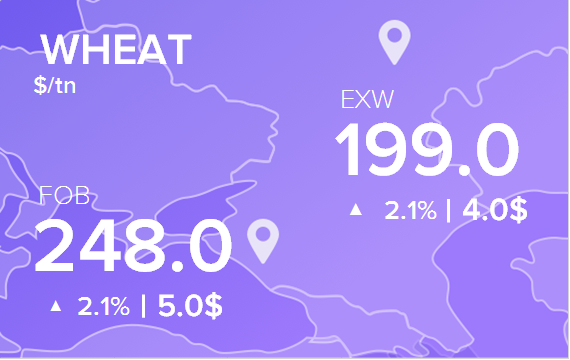 Цены FOB и EXW на 5 июня 2025. Пшеница. Кукуруза