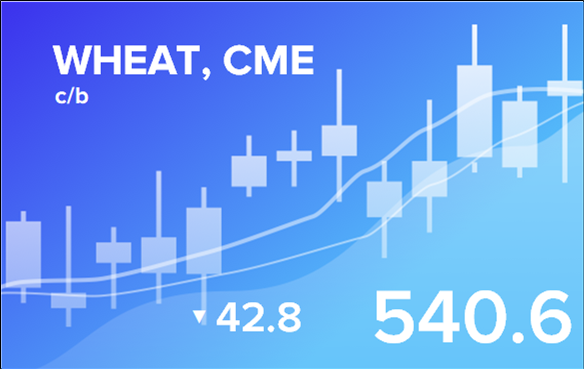 Прогноз биржевых цен с 30 июня по 4 июля 2025
