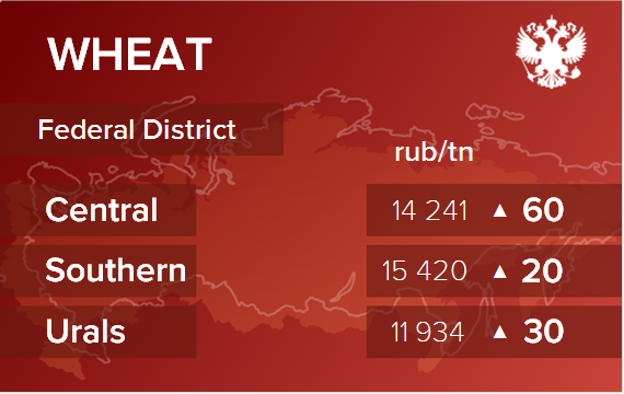 Обзор цен EXW по регионам РФ за неделю с 9 по 13 июня 2025