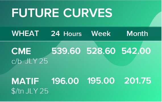Пшеница. Фьючерсные кривые на 7 июля 2025